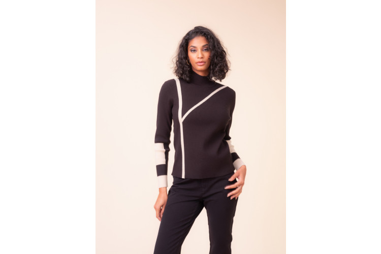 Alison Sheri Contrast Line Turtle Neck Knit | Black